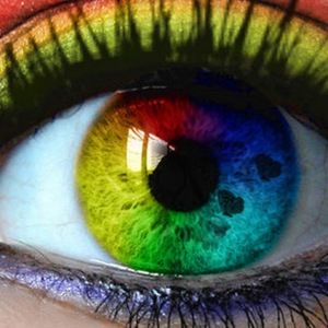 Meet your Posher, Halla